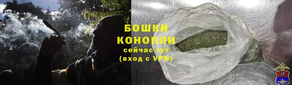 шишки Волоколамск