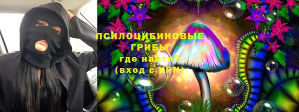 PSILOCYBIN Волосово